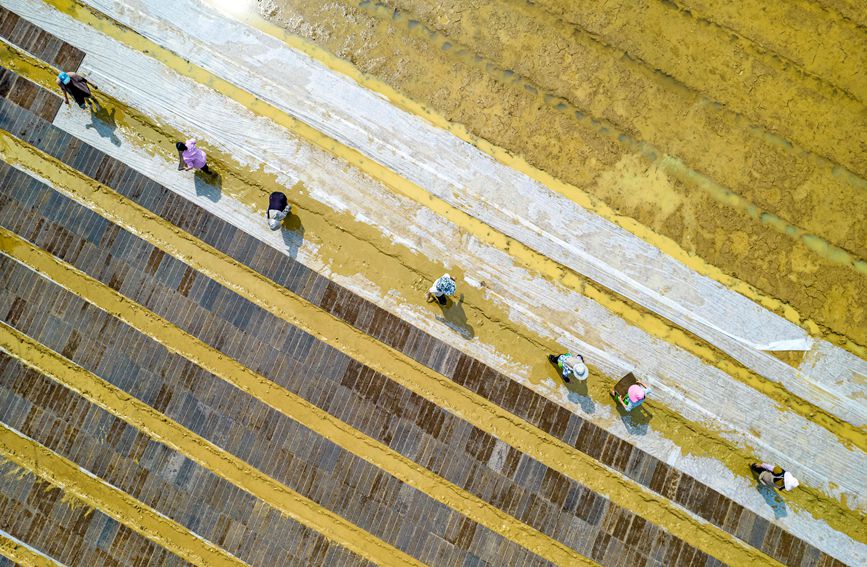 村民在貴州省黔西市杜鵑街道大興社區(qū)水稻育秧點(diǎn)放置育秧托盤(pán)。