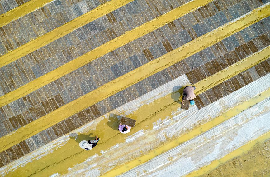 村民在貴州省黔西市杜鵑街道大興社區水稻育秧點放置育秧托盤。