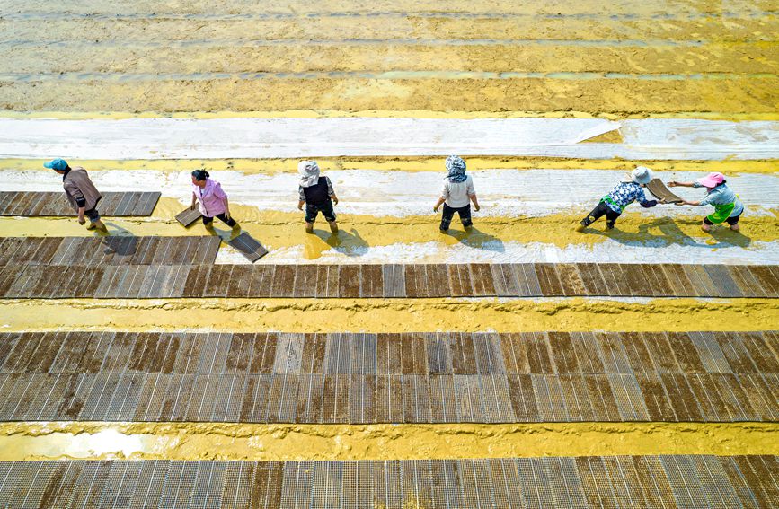 村民在貴州省黔西市杜鵑街道大興社區(qū)水稻育秧點(diǎn)放置育秧托盤(pán)。