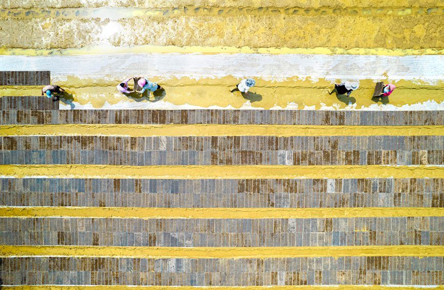 村民在貴州省黔西市杜鵑街道大興社區(qū)水稻育秧點放置育秧托盤。