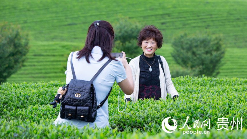 游客在茶園拍照打卡。人民網 黃小桃攝