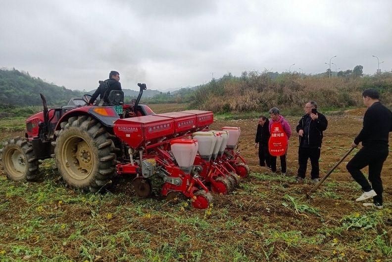 修文縣2025年推廣玉米大豆帶狀復合種植10000畝眼下正值播種的農忙季節，這兩天，修文縣各鄉（鎮、街道）正同步推進玉米大豆帶狀復合種植，進一步提高土地利用率，促進農業增產、增效、增收。
