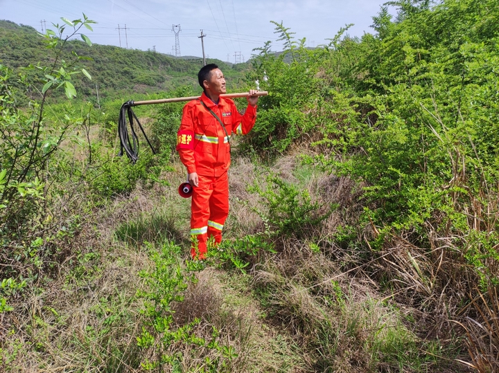 馮再華正在巡林。王蕓 攝.jpg