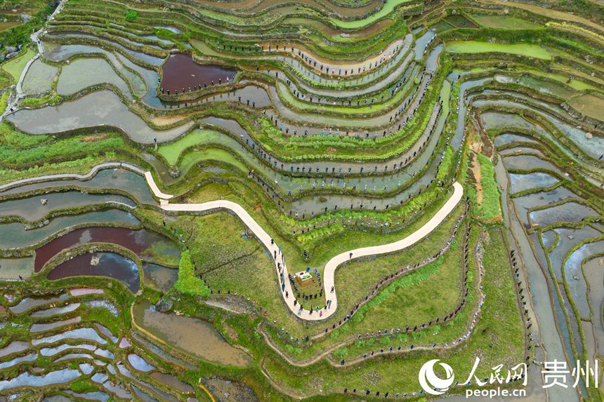 航拍貴州省從江縣加榜梯田。人民網 陽茜攝