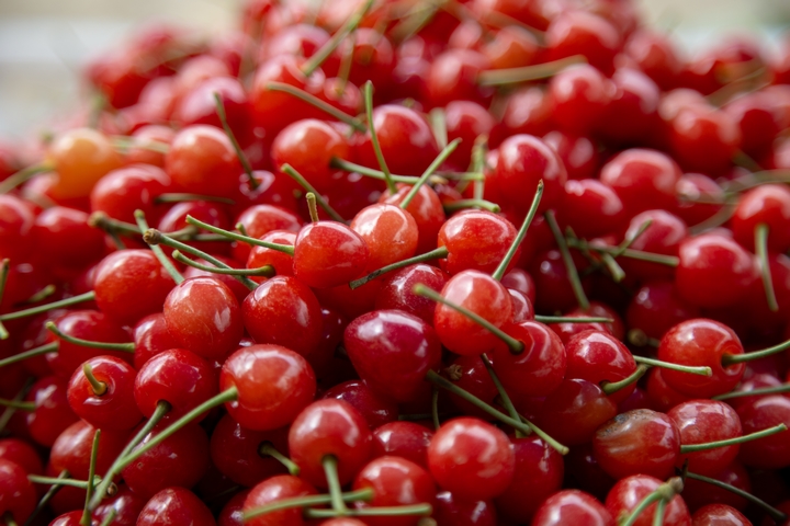 古達鄉(xiāng)櫻桃 陳春志 攝.jpg