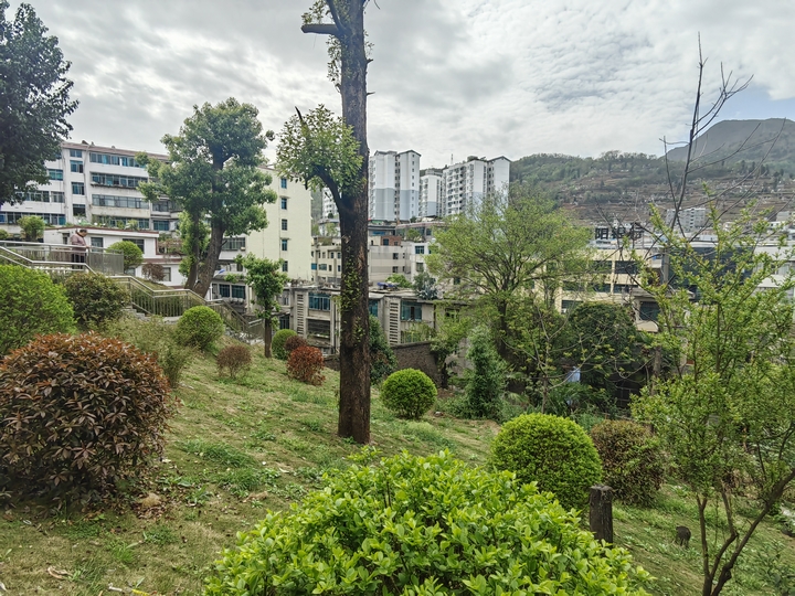 赫章口袋公園一角。