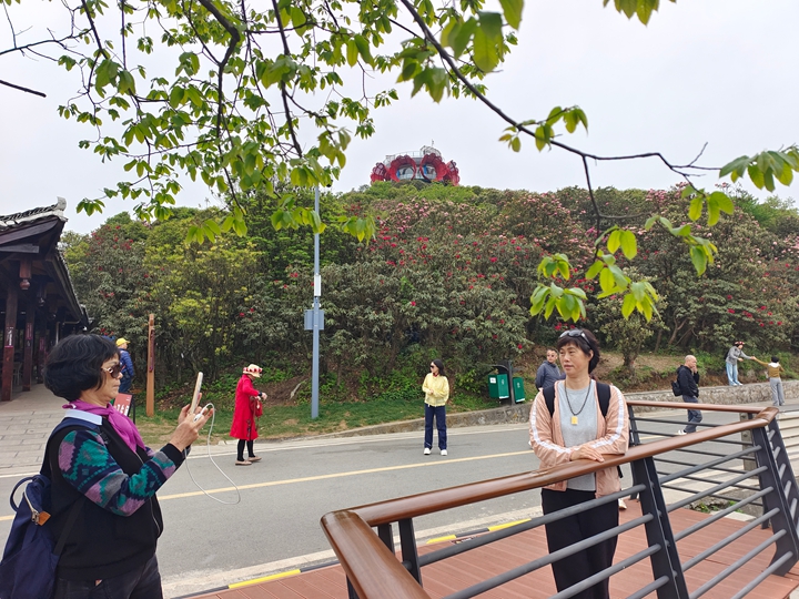 普底景區數花峰。