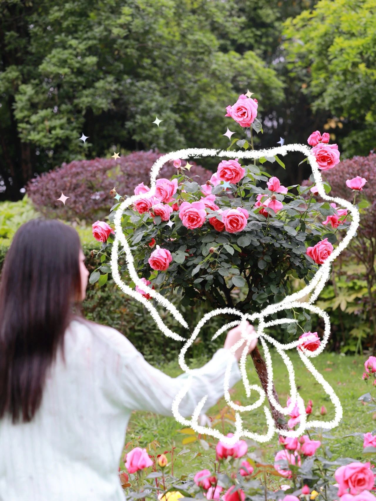 3月季花爭奇斗艷。