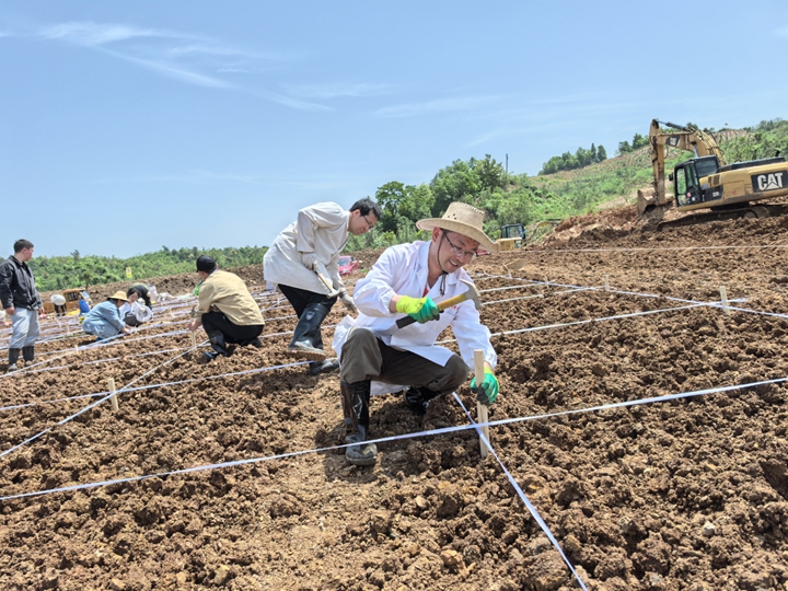 礦山生態修復團隊在成黔礦產公司213礦場開展“礦山生態修復土壤改良技術示范點”項目。