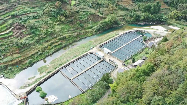 鱘魚養(yǎng)殖基地.jpg