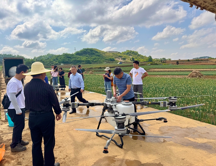 飛防團隊在馬鈴薯基地進行技術探索 。