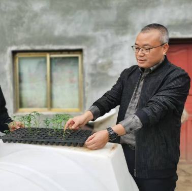 眼下正值辣椒育苗的好時節，走進黔西市蓮城街道坪子社區的貴州省黔沃農業科技有限公司基地內，呈現出一片熱鬧非凡的勞作景象。