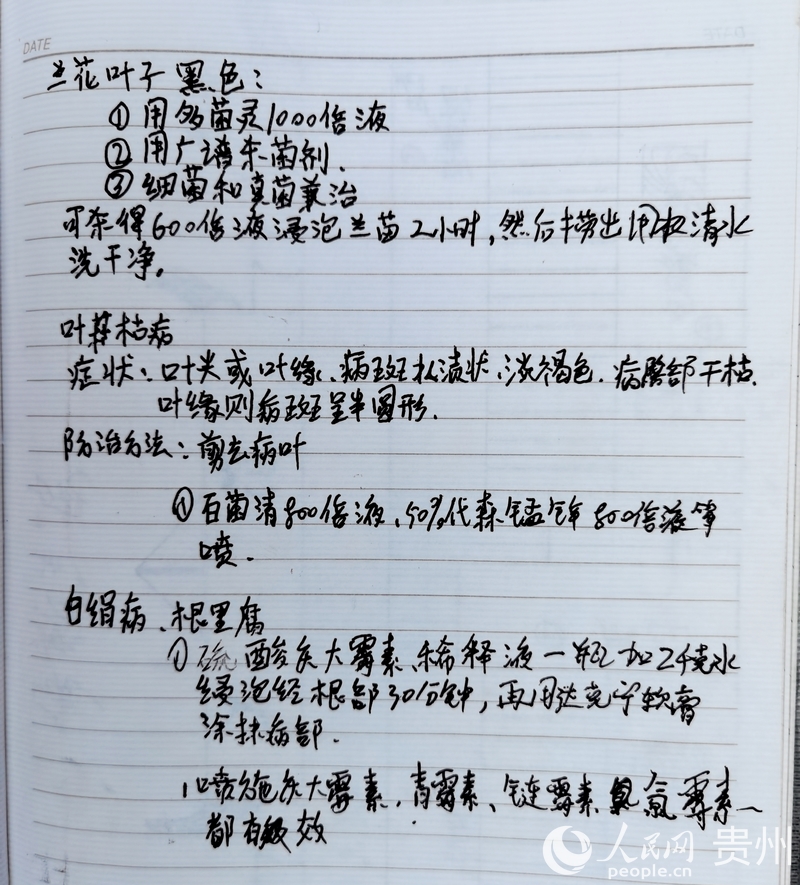 楊華飛的筆記本上,詳細記錄著蘭花常見的病蟲害和治療方法。人民網記者 王秀芳攝.jpg