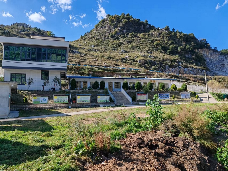 管彥坤的黑山羊養殖合作社。