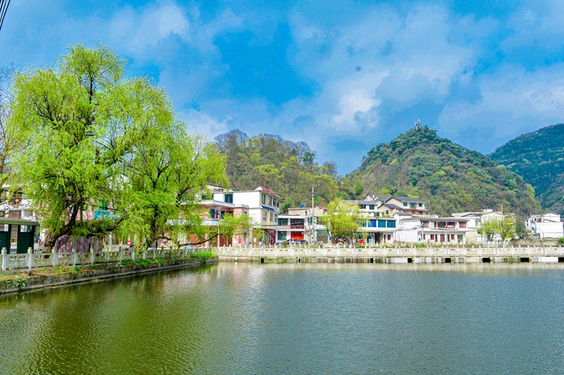 羊場村。蔣世良攝