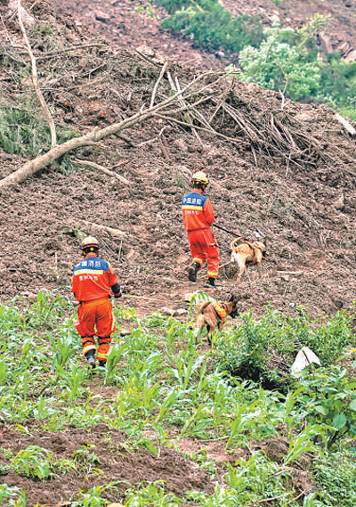 5月23日，慶陽村山體滑坡現場，消防救援人員帶著搜救犬進行搜救。涂 敏 陽 茜攝影報道