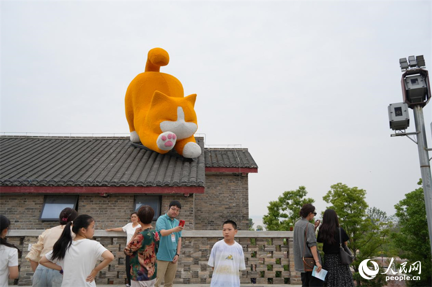 橘貓趴在屋頂憨態(tài)可掬。人民網 劉汕攝