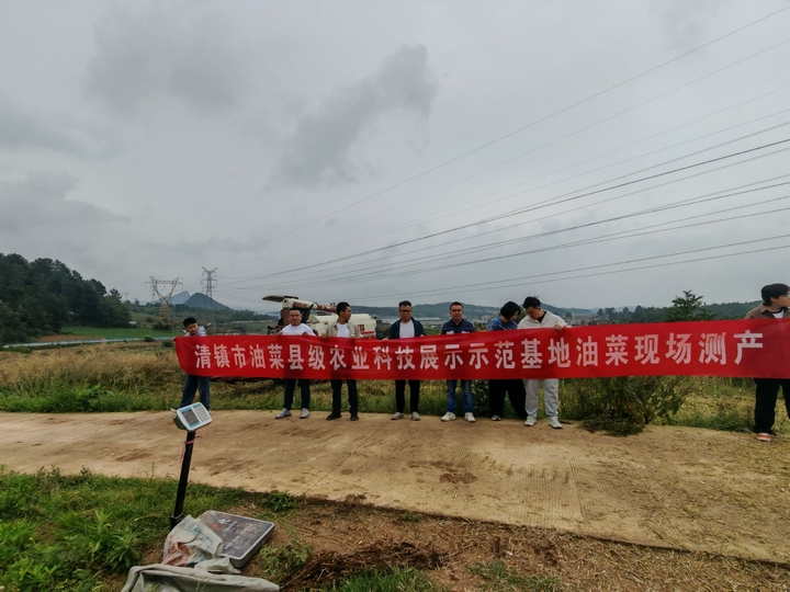 清鎮(zhèn)市縣級農(nóng)業(yè)科技示范展示基地油菜現(xiàn)場測產(chǎn).jpg