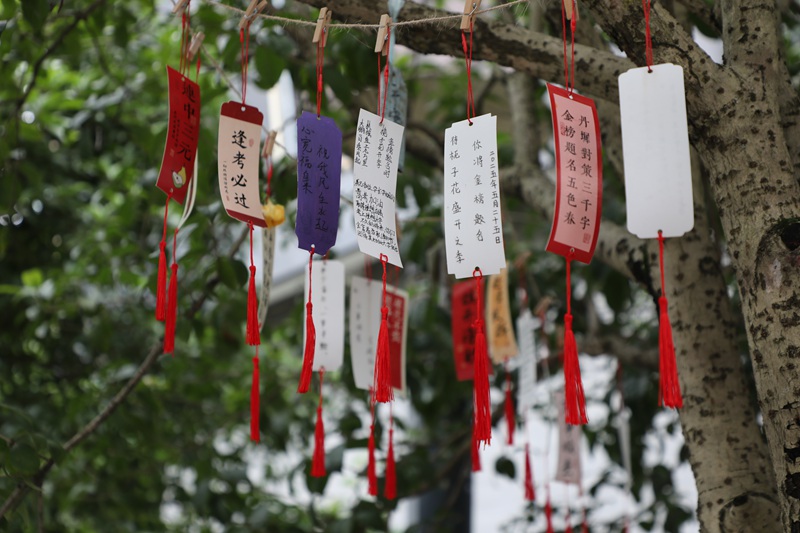 圖為石阡縣第三高級中學校園內布置的高考氛圍。楊文美攝