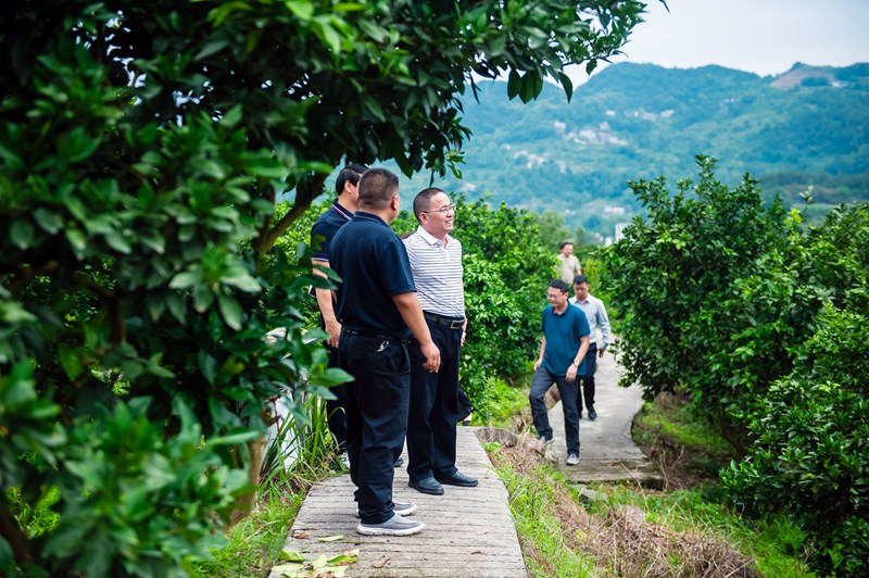 實地調研產業發展情況。