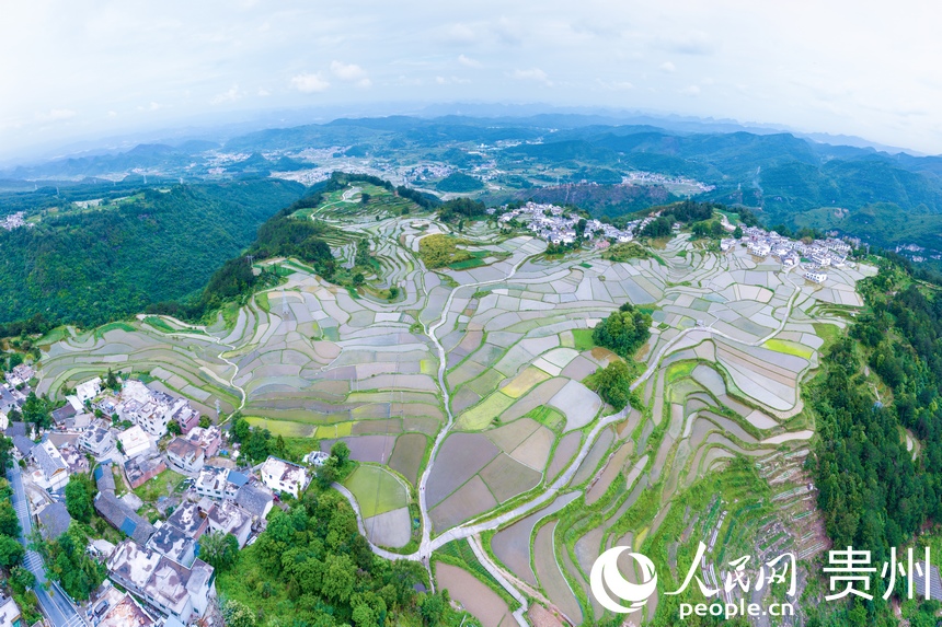 航拍貴陽市花溪區高坡苗族鄉梯田。人民網記者 涂敏攝