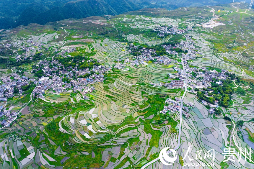 航拍貴陽市花溪區高坡苗族鄉梯田。人民網記者 涂敏攝