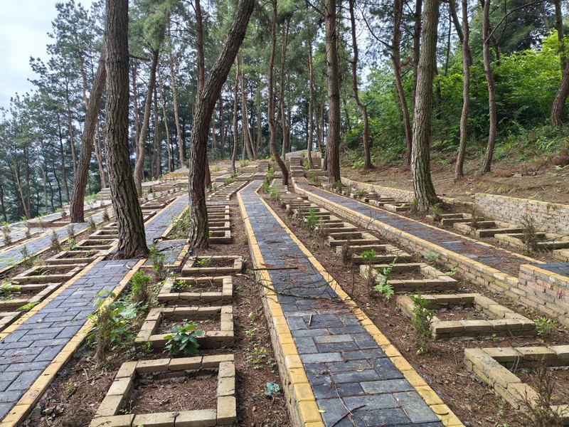 修文縣幸福村：擦亮“幸福旅居”名片 鄉村振興蹄疾步穩。