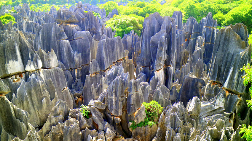 大石林。石林風(fēng)景名勝區(qū)管理局供圖