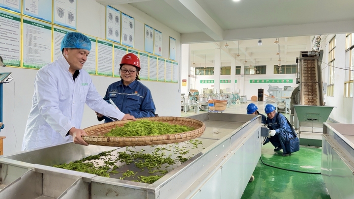 南方電網貴州貴陽供電局工作人員來到貴陽市開陽縣禾豐鄉,對茶企的用電設施設備開展檢查。萬偉 攝.jpg