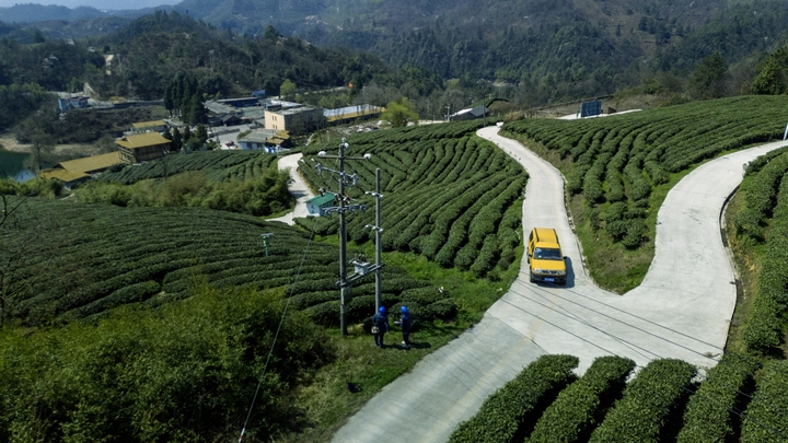 南方電網貴州都勻供電局工作人員開展巡檢,保障茶企用電需求。魏洪明 攝.jpg