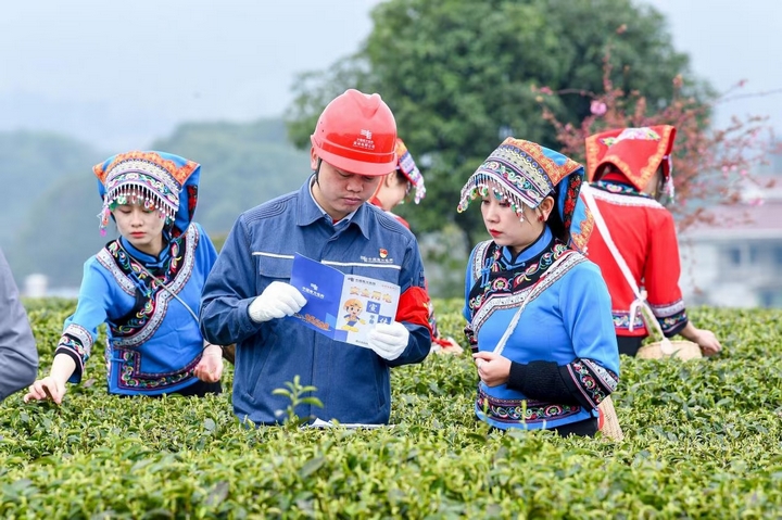南方電網貴州遵義湄潭供電局工作人員來到田間地頭,了解農戶對“電制茶”用電需求,并進行安全用電知識宣傳。梁軍 攝.jpg