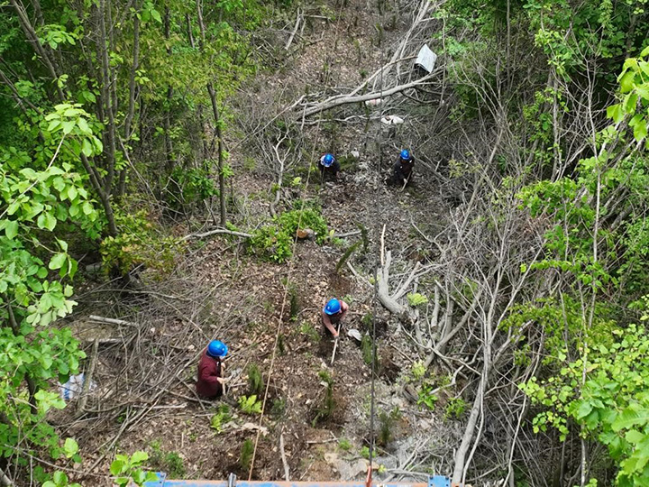 2、4164索道通道進行苗木種植。貴州送變電有限責任公司供圖