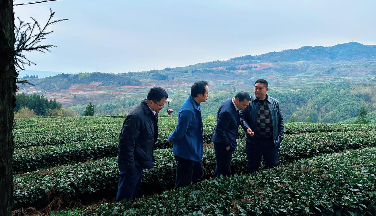 圖為工行六盤水分行以“多彩農鏈通”金融服務為抓手,助力涼都特色農業產業。