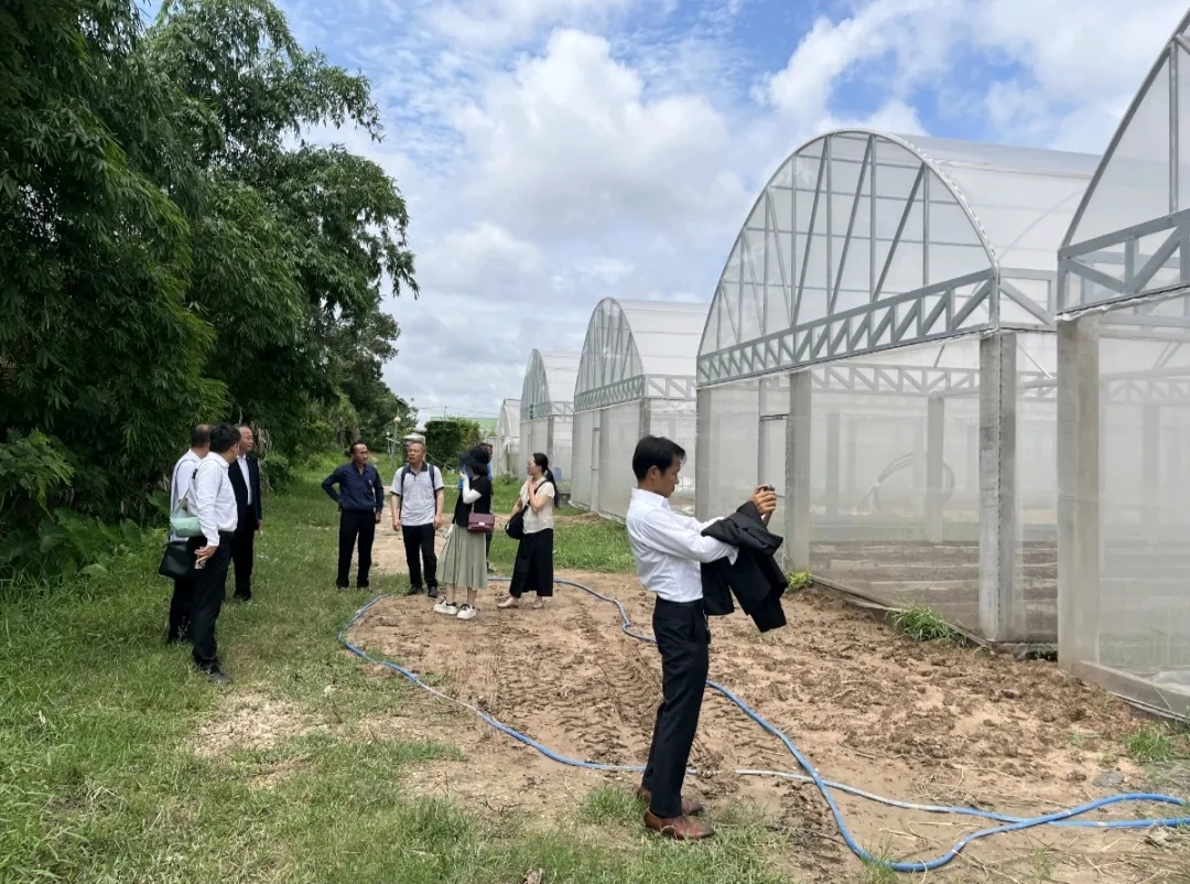 參觀種植大棚基地。