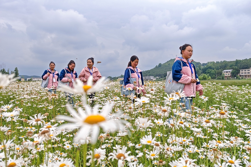 在雙龍鎮(zhèn)江林村,育嬰輔導(dǎo)員正走在家訪的小路上。