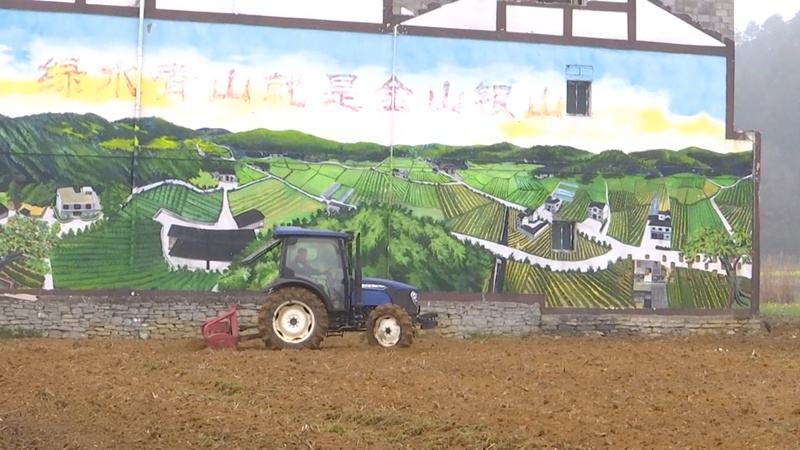 在金沙縣柳塘鎮淹壩村,農機正在田間地頭來回穿梭翻犁土地。吳艷禹攝