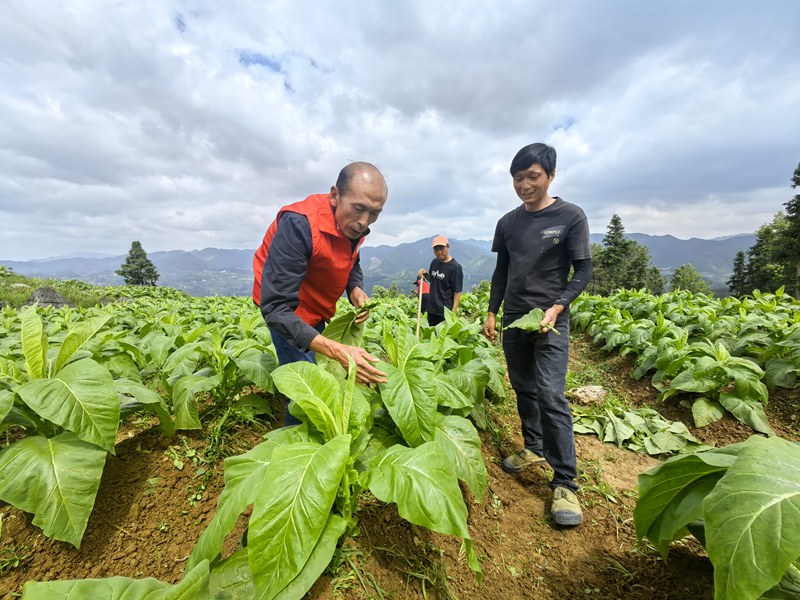 開展“面對面”技術指導。