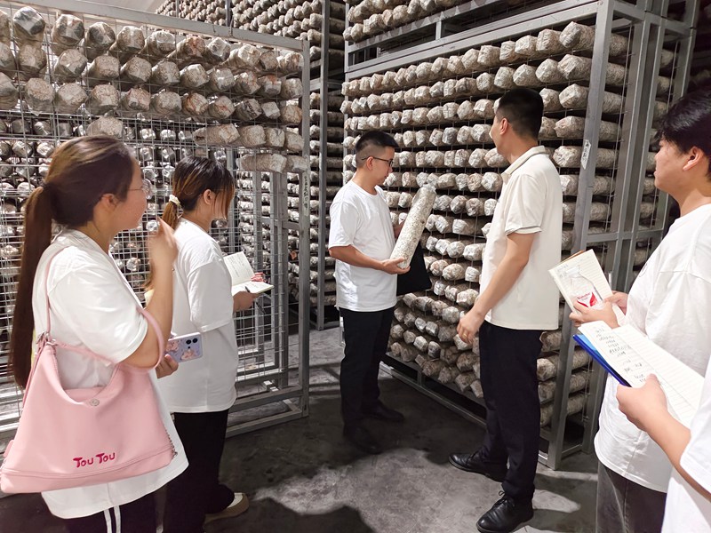 課堂走出教室、專業對接一線。