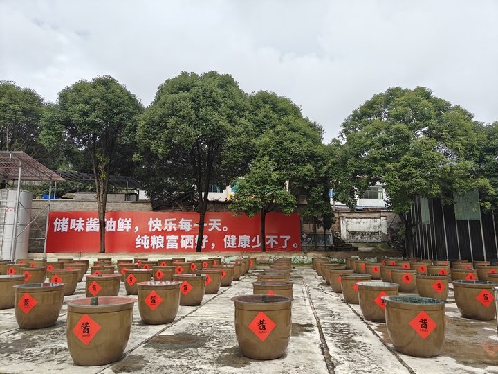 晾曬中的醬缸.jpg