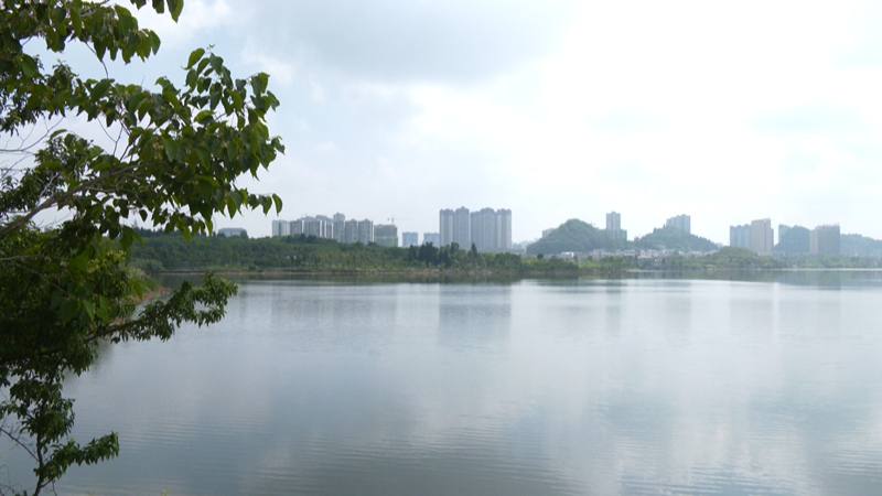 安順經(jīng)開(kāi)區(qū)楊湖環(huán)境。