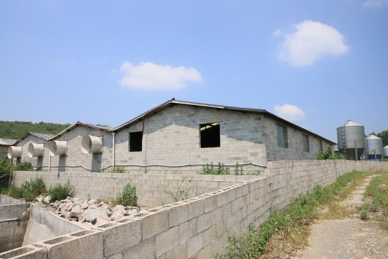 六桶鎮變廢為寶推進種養循環。李虹億攝