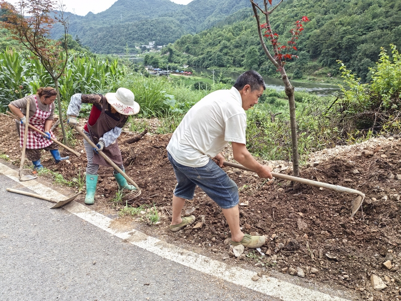 沙溪村村民在填埋飲水管道。