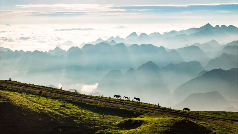 阿西里西大草原云海日出景觀。