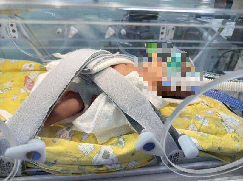 躺在保溫箱里的小安。