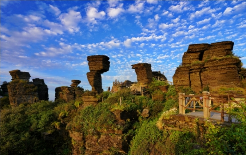 梵凈山層疊的板巖里藏著14億年的風(fēng)雨。田珊珊攝
