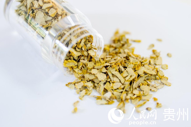 赤水石斛加工企業(yè)生產(chǎn)的石斛飲片。人民網(wǎng)記者 涂敏攝