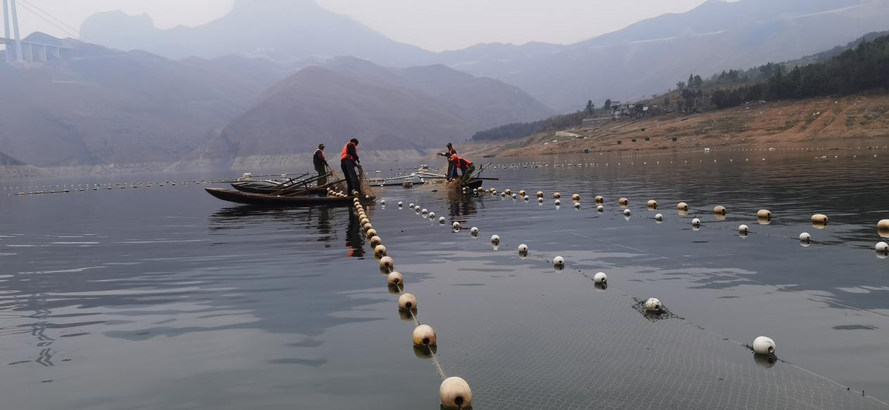 光照湖生態(tài)漁場。馬偉攝