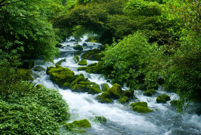 茂蘭自然保護區——青龍澗。柏祥意攝