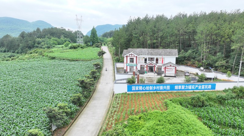 畢節市田壩橋鎮硝灰洞村干凈的道路。