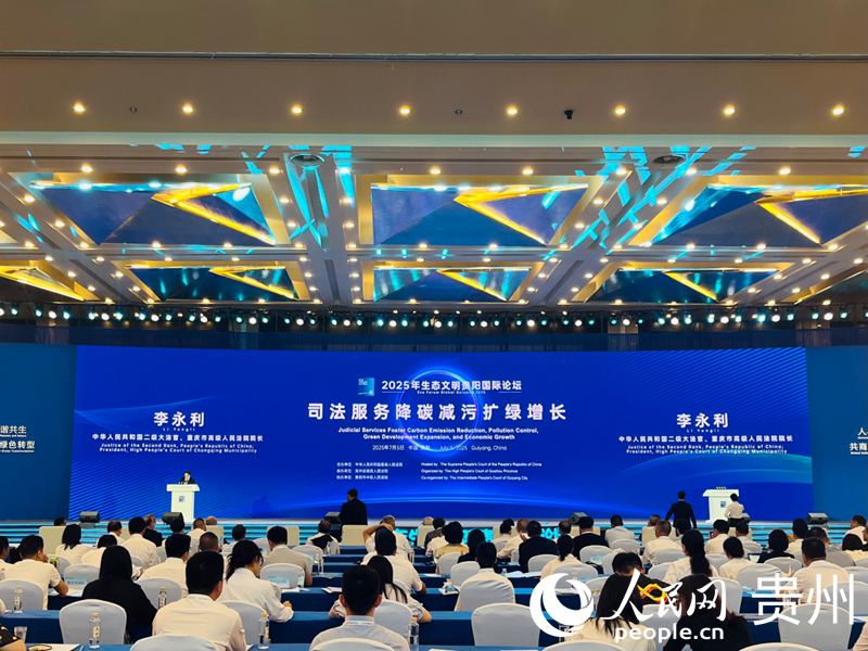 論壇現場。人民網 李麗萍攝